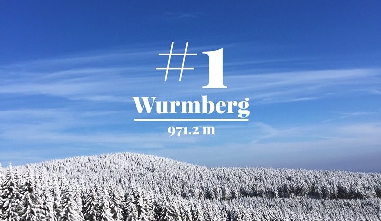 Blick vom Wurmberg auf die verschneiten Wälder rings herum