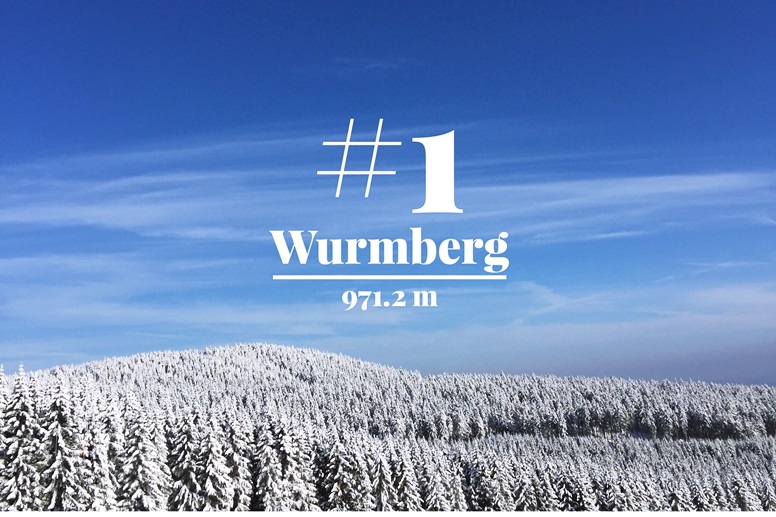Blick vom Wurmberg auf die verschneiten Wälder rings herum