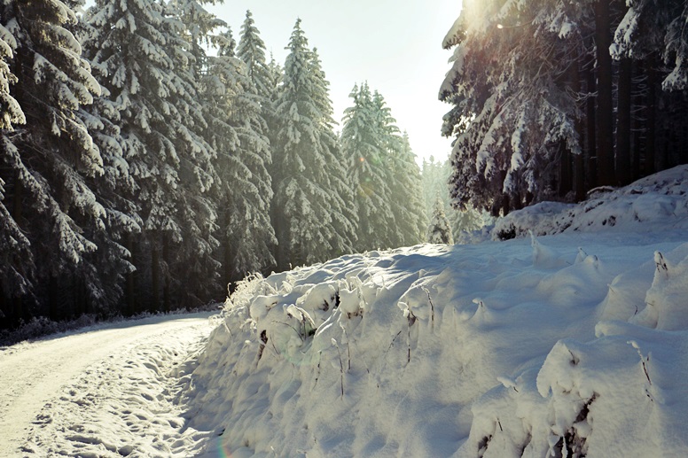 Verschneite Landschaften im Harz am Wurmberg