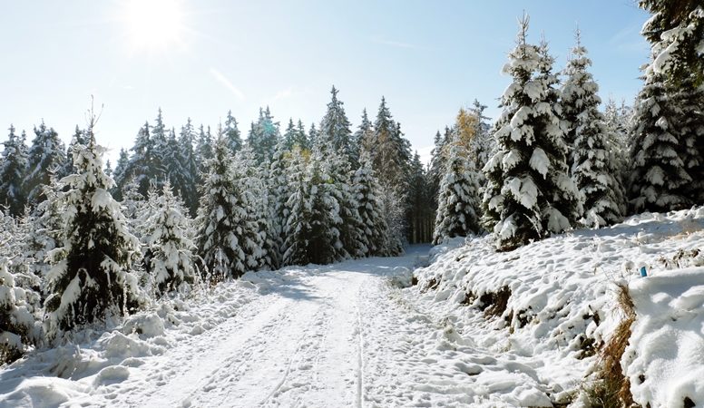 Verschneiter Weg auf der Wanderung zum Wurmberg