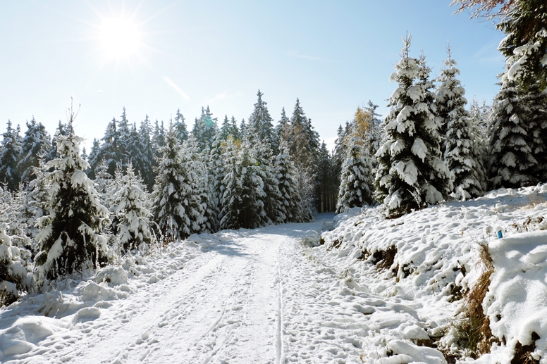 Verschneiter Weg auf der Wanderung zum Wurmberg