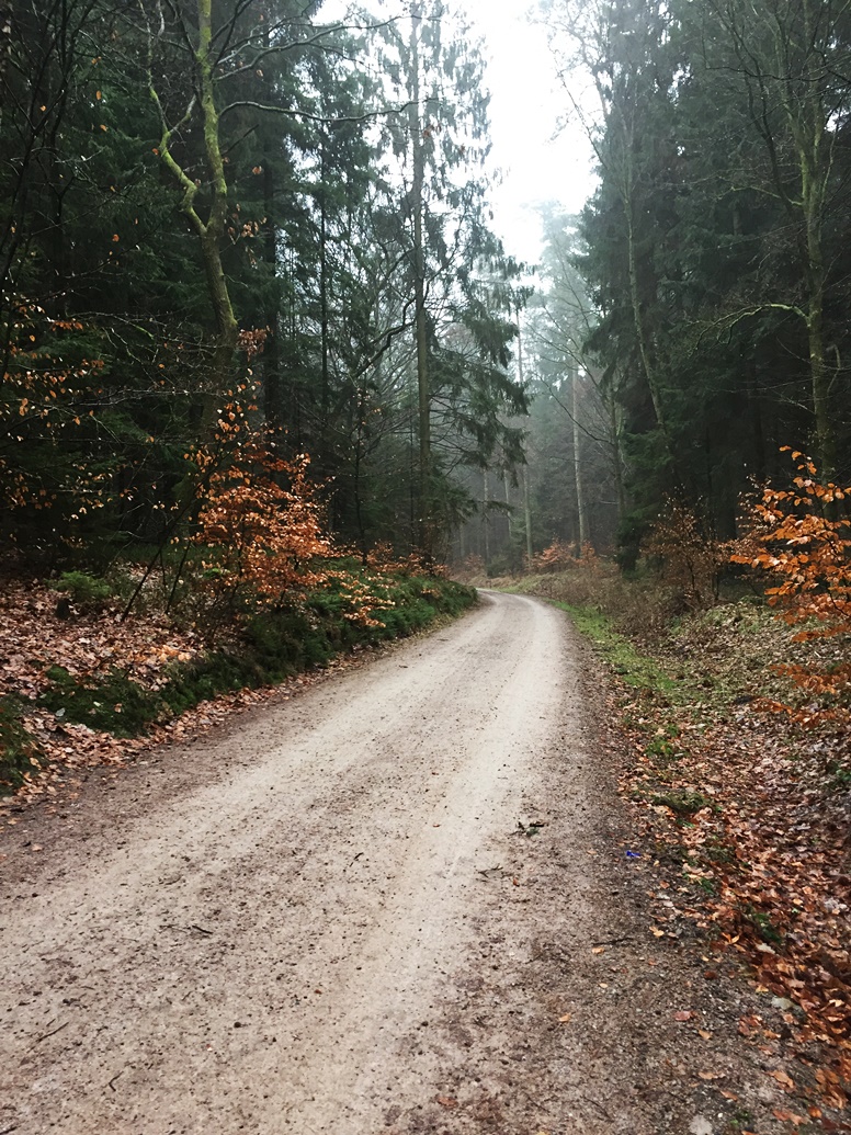 Weg zum höchsten Berg Hamburgs