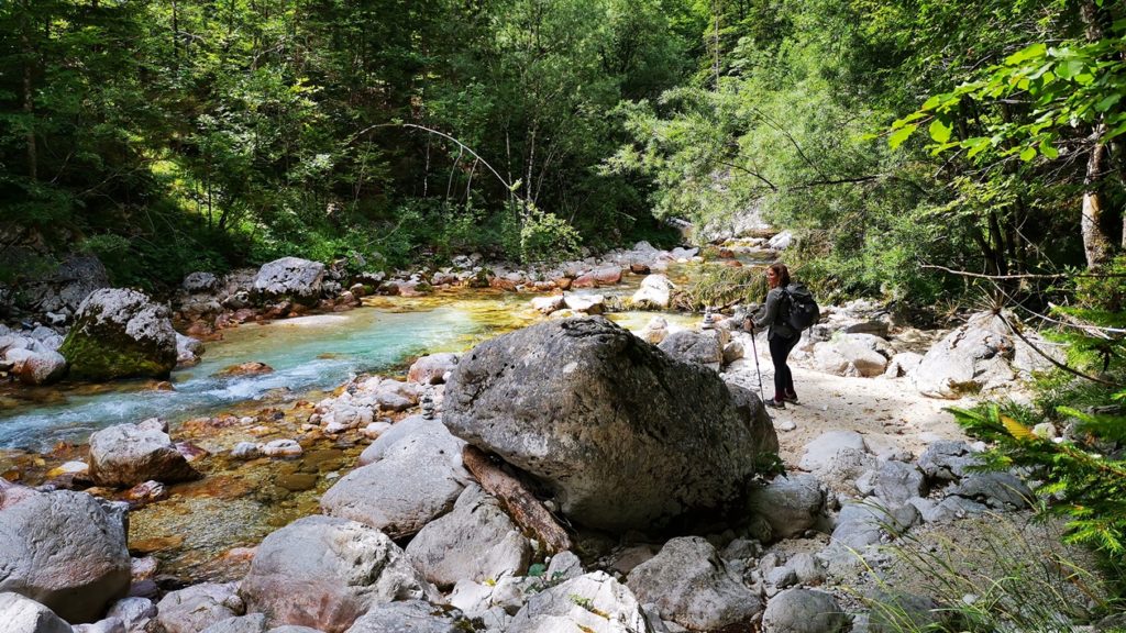 Rast am Ufer der Soča