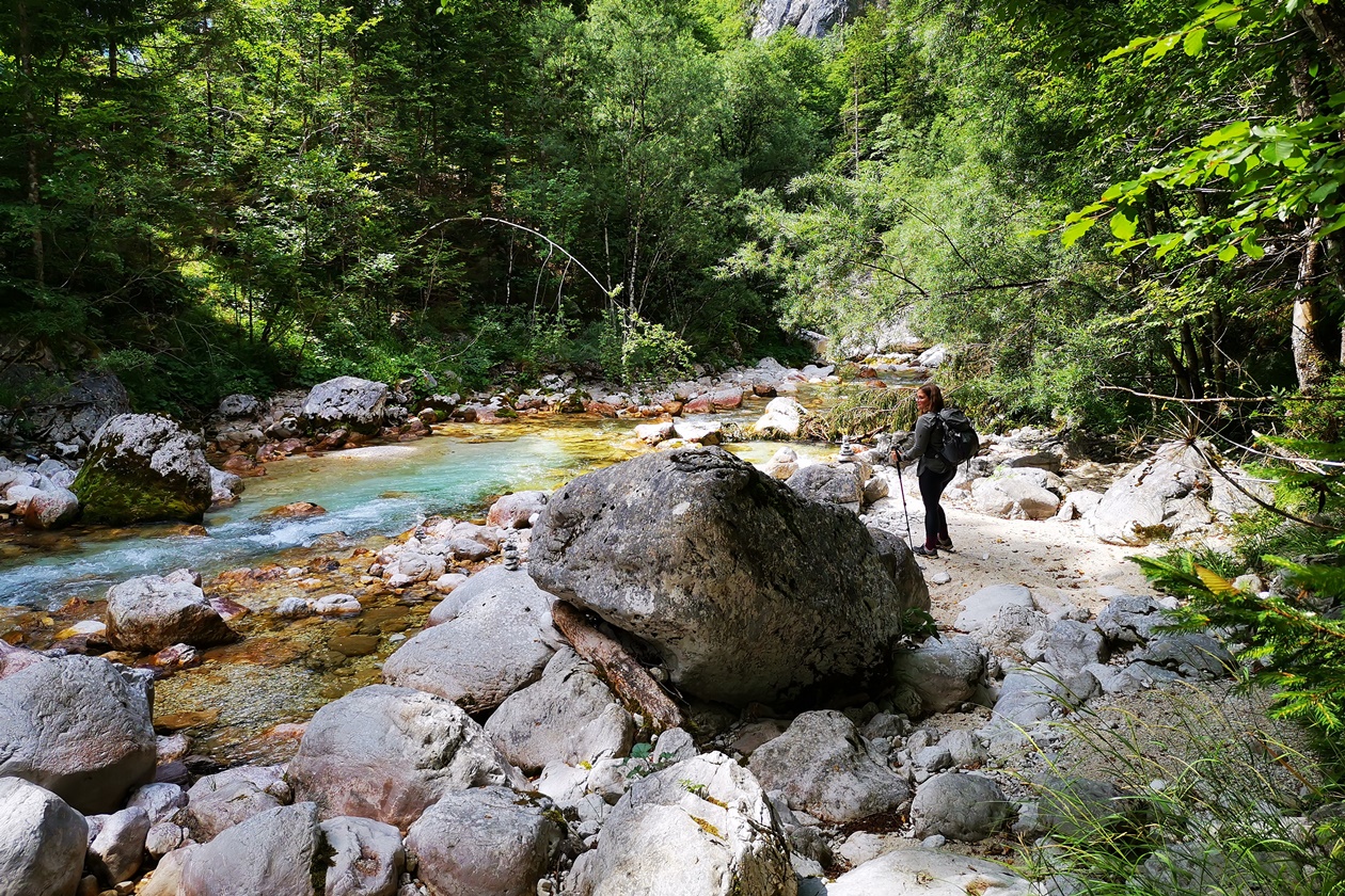 Rast am Ufer der Soča