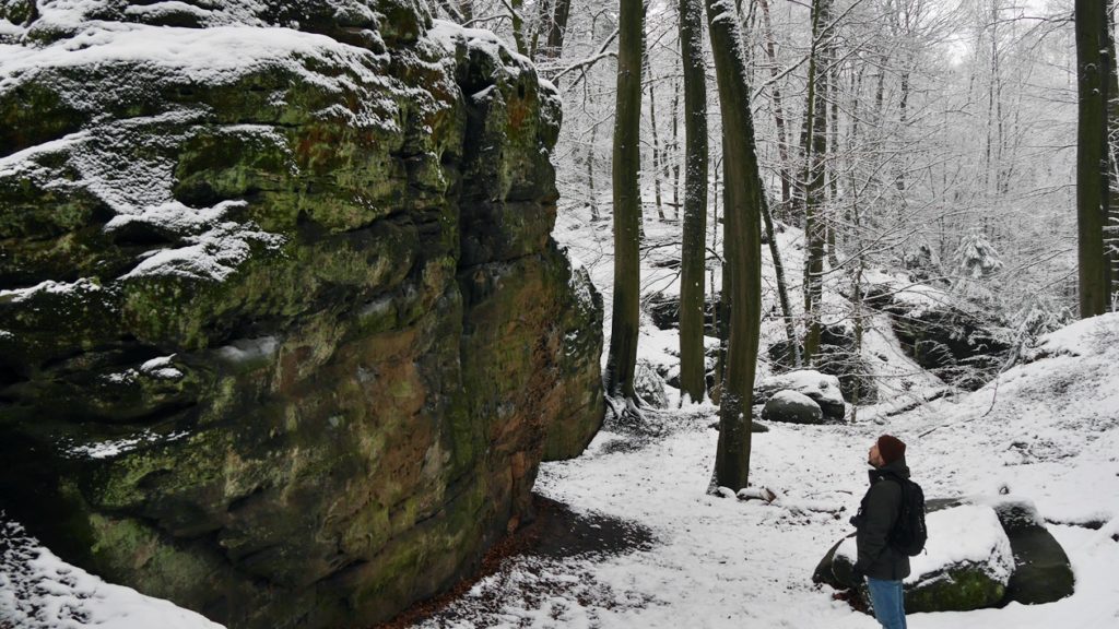 Ein Mensch der auf eine der Bodensteinerklippen blickt