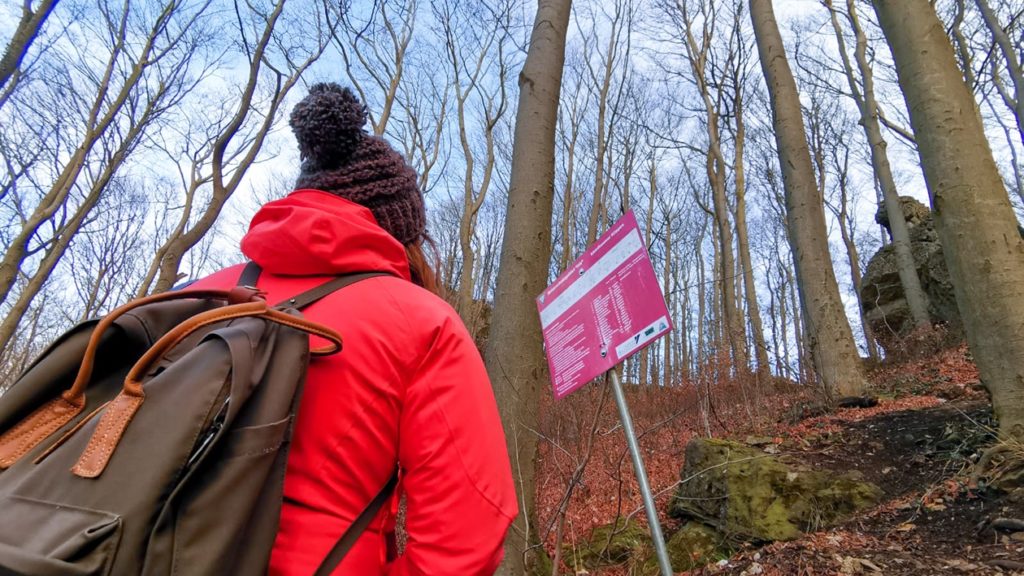 Blick auf den Klippenweg im Ith