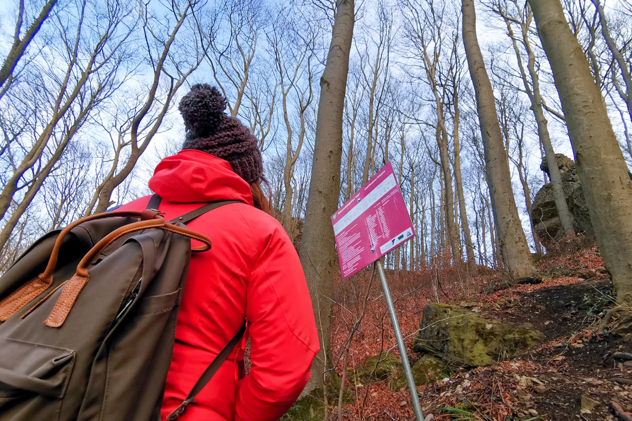 Blick auf den Klippenweg im Ith