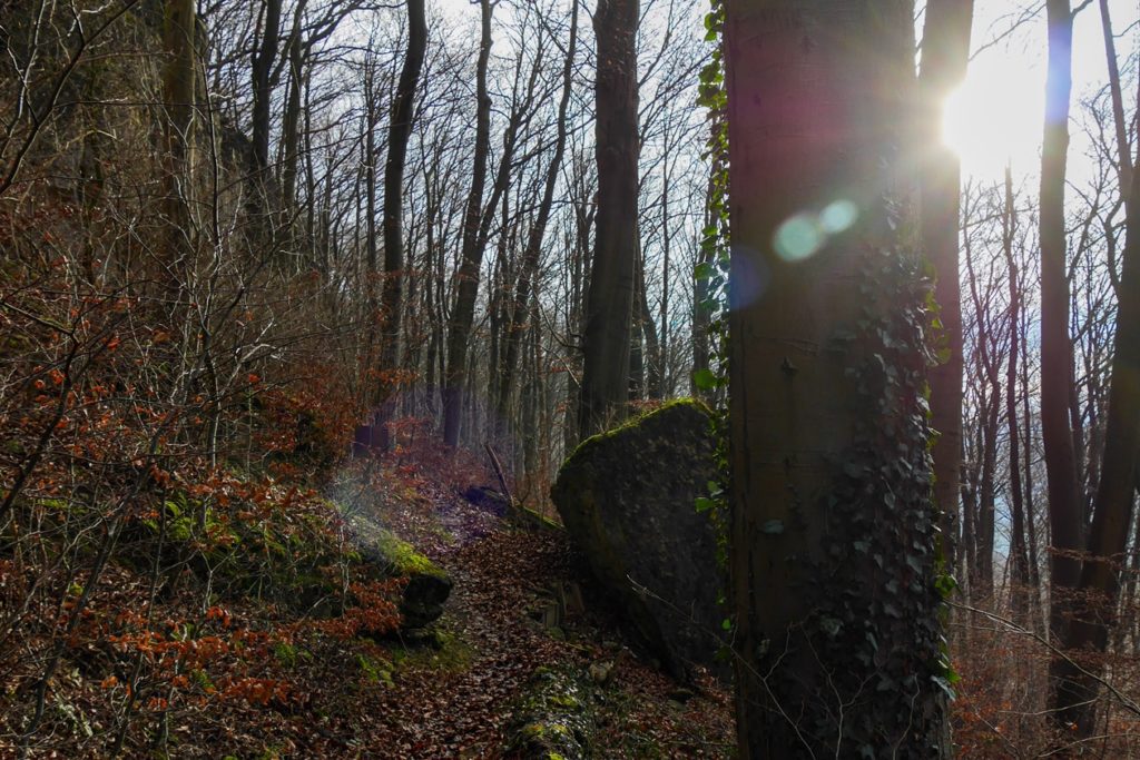 Sonnenschein auf dem Klippenweg im Ith